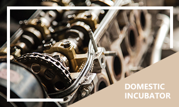 Brand promotion of the whole network to help terminal marketing