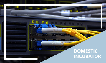 365 day service, rain or shine